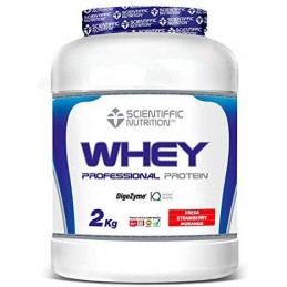 PROFESSIONAL WHEY PROTEIN 2Kg
