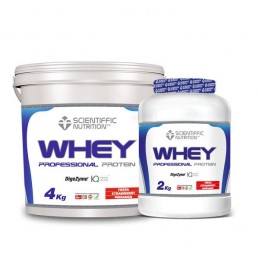PROFESSIONAL WHEY PROTEIN 4Kg