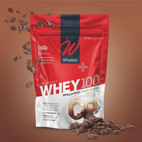 WHEY 100% Concentrado de proteina de suero